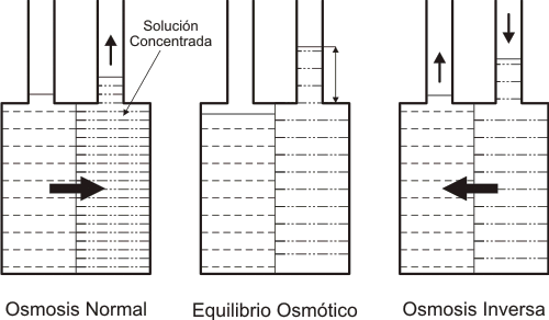 Tipos de osmosis